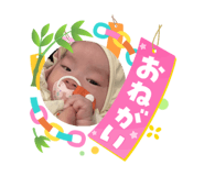 864780088