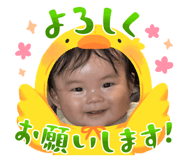 864780153