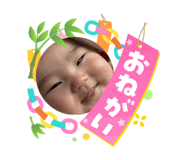 864780816