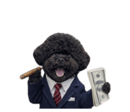 864782411