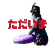 864783164
