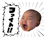 864784555