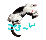 864784718