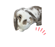 864785049