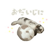 864785061