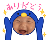 864786020
