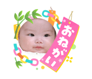 864786053