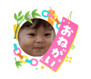 864786557