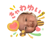864786698