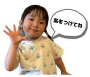 864787080