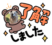 864787484