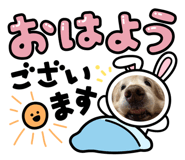864787485