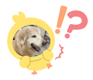 864787487