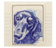 864787558