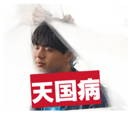 864787974