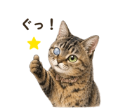 864788738