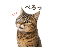 864788745