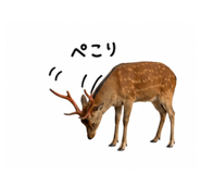 864788890