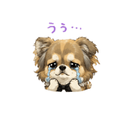864790074