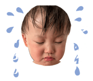 864790329