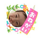 864791494