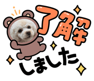 864791750