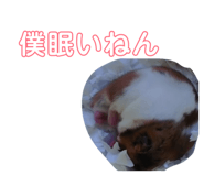 864792028
