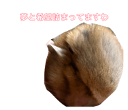 864792029