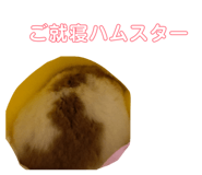 864792032