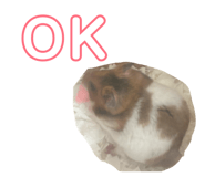 864792040