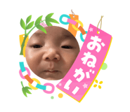 864792046
