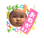 864792205