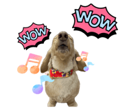 864794787