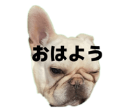 864795020