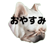 864795021