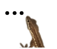 864795353