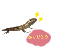 864795354