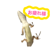 864795355