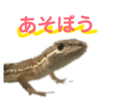 864795357
