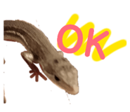 864795358