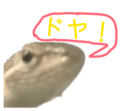 864795359