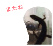 864795360