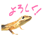 864795361