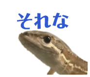 864795362