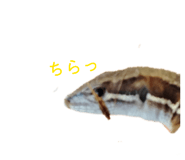 864795366