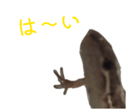 864795367