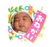 864795631