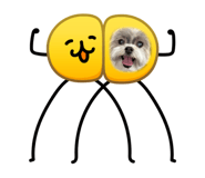 864795638