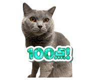 864795717