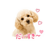 864795752